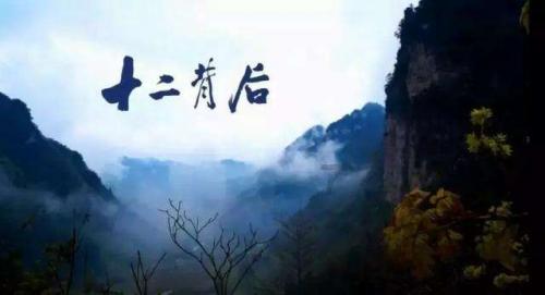 88影视